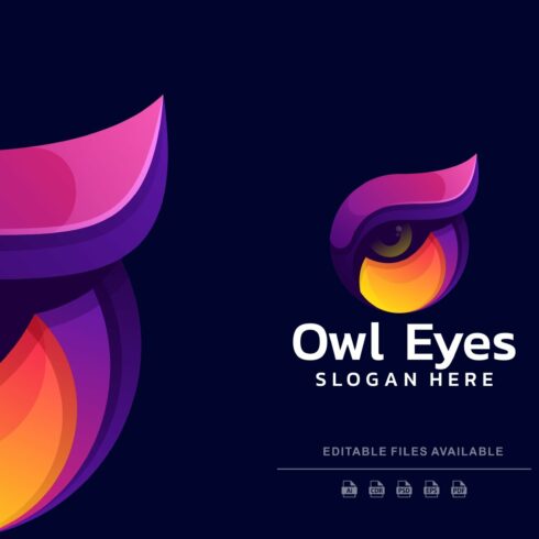 Owl Eye Colorful Logo cover image.