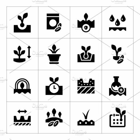 Set icons of seed and seedling cover image.