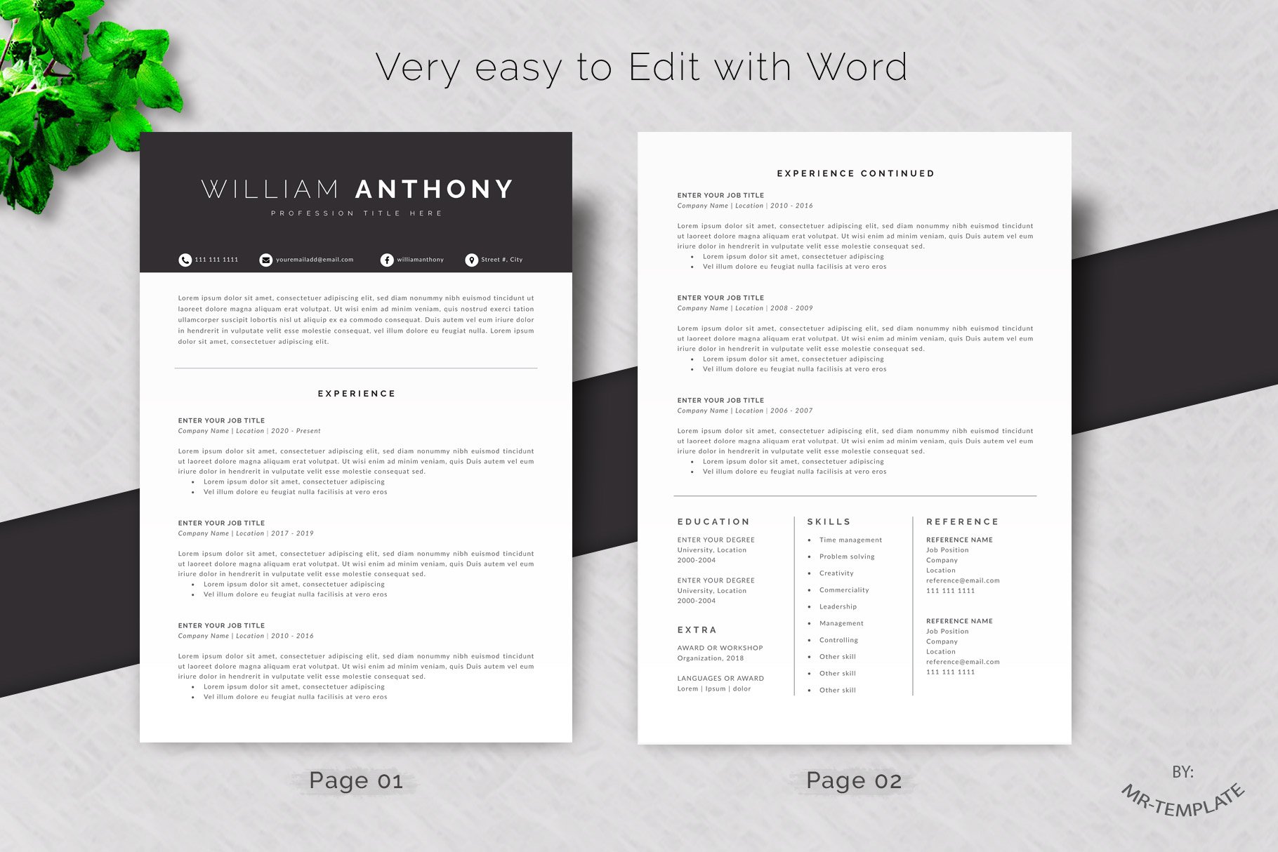 Resume /Cv Template 4 Pages Word preview image.