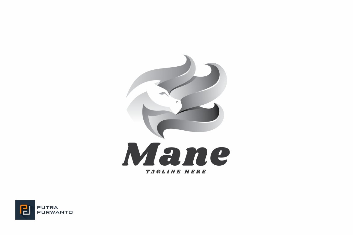Horse Hair - Logo Template preview image.