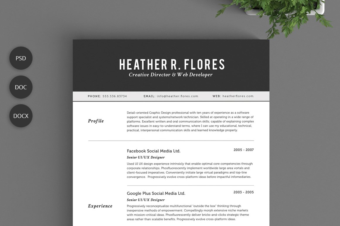 2 Pages Resume Set | CV Template cover image.