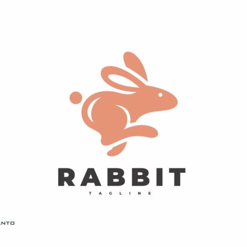 Leaping Rabbit Logo Design cover image.