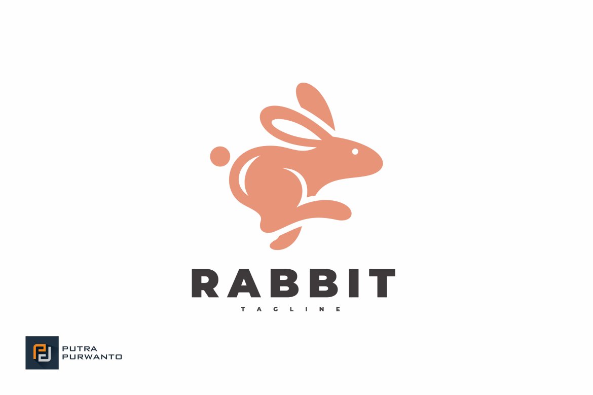 Leaping Rabbit Logo Design cover image.