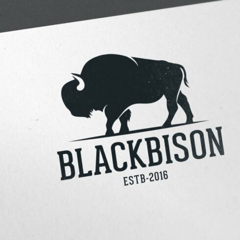 Black Bison cover image.