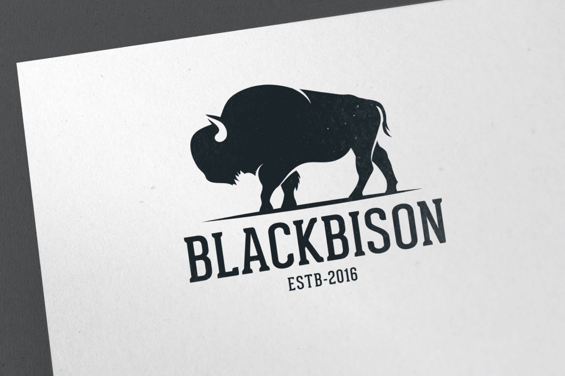 Black Bison cover image.