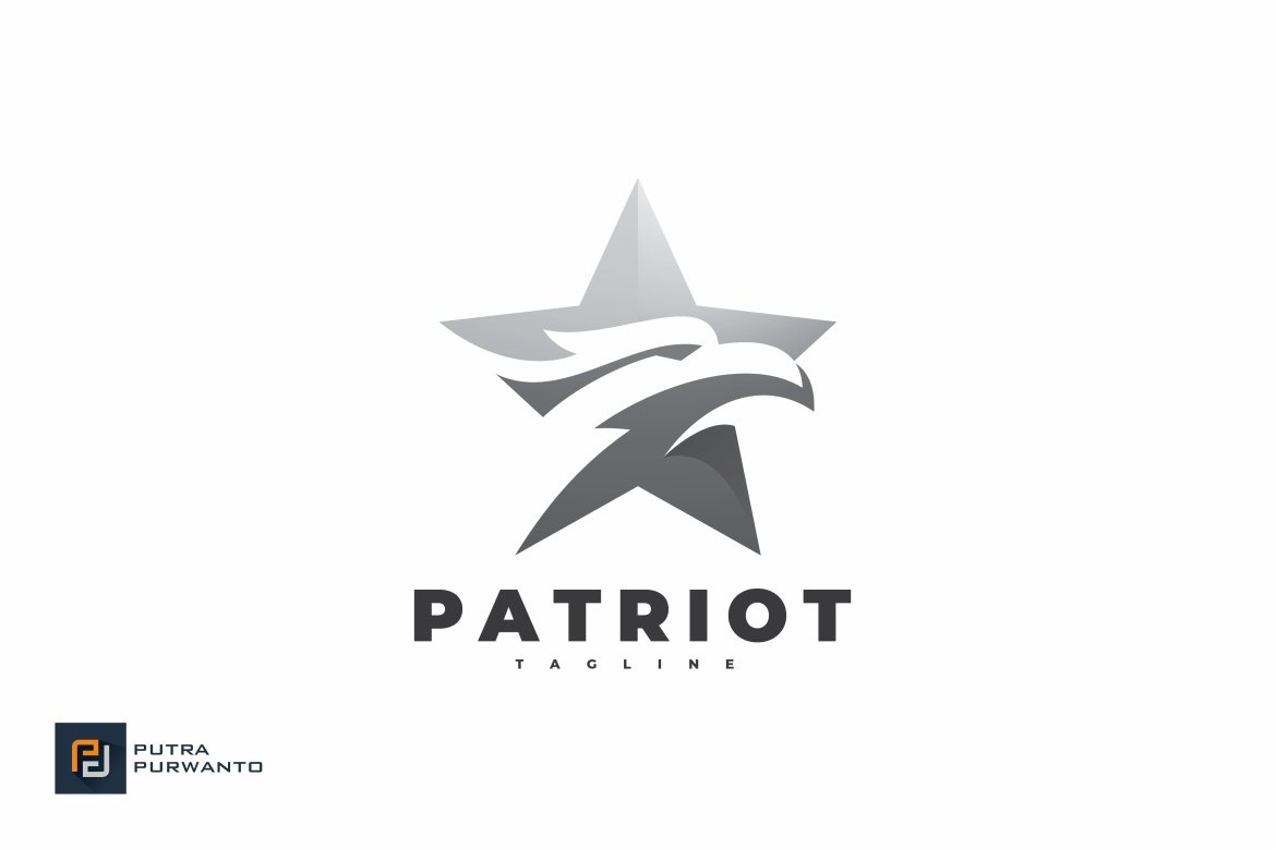 Colorful Eagle Head Star Logo Design preview image.