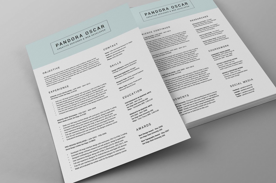 2 Pages Clean Resume CV - Pandora preview image.