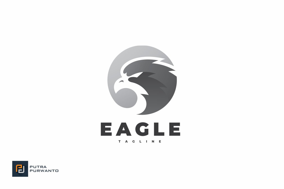 Modern Eagle Falcon Logo Design preview image.