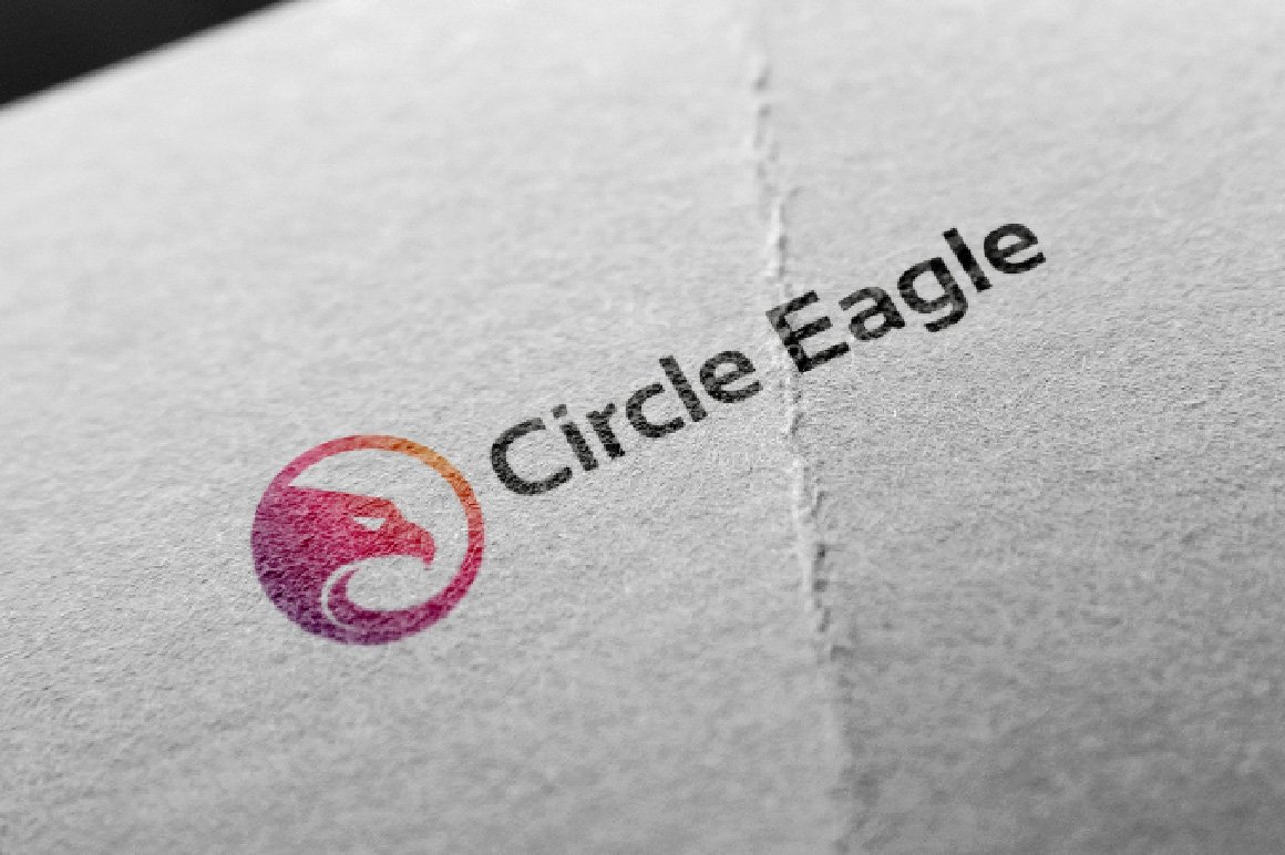 Circle Eagle Hawk Head preview image.