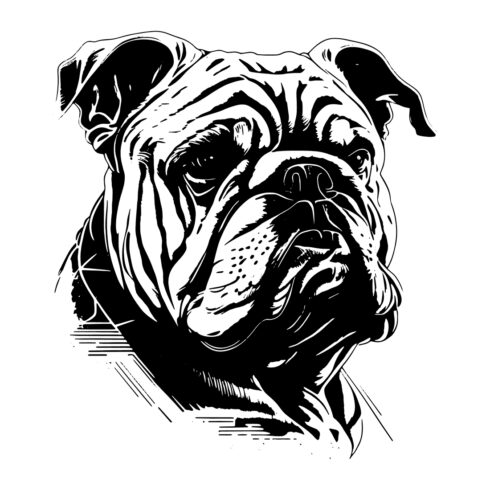 Bulldog logo illustration cover image.