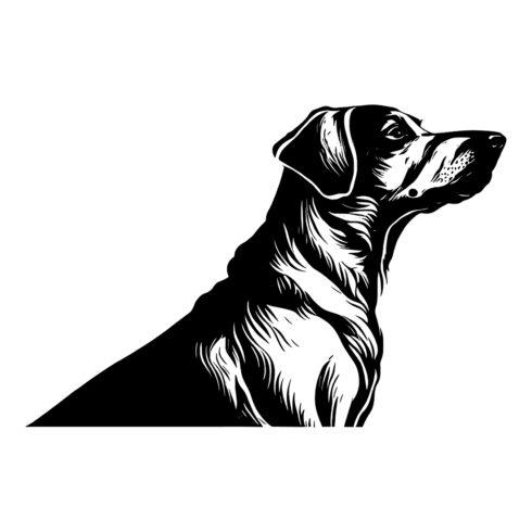 Dog Logo Illustration cover image.