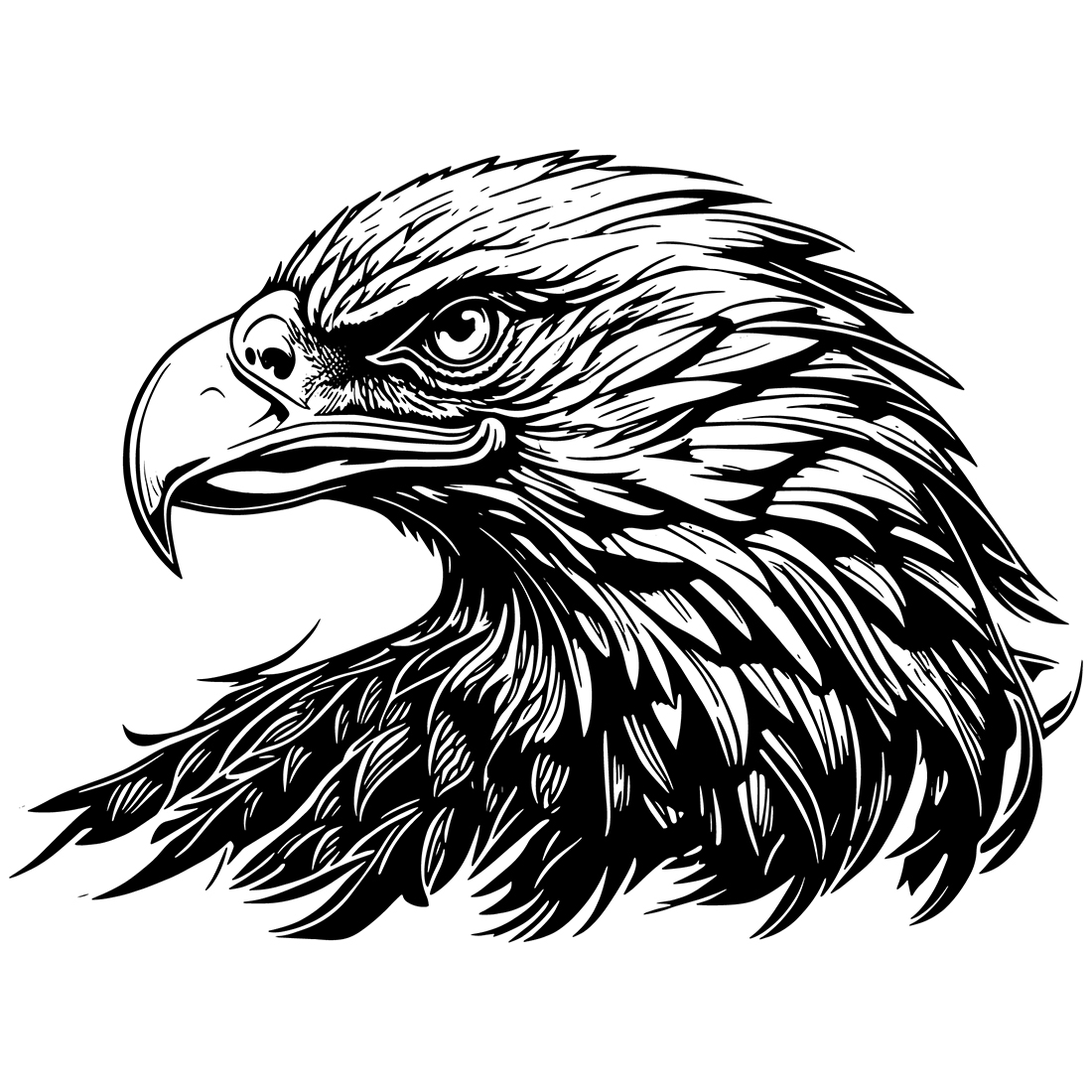 Clipart of a Cartoon Black and White Bald Eagle Mascot Face - Royalty Free  Vector Illustration by AtStockIllustration #1432428