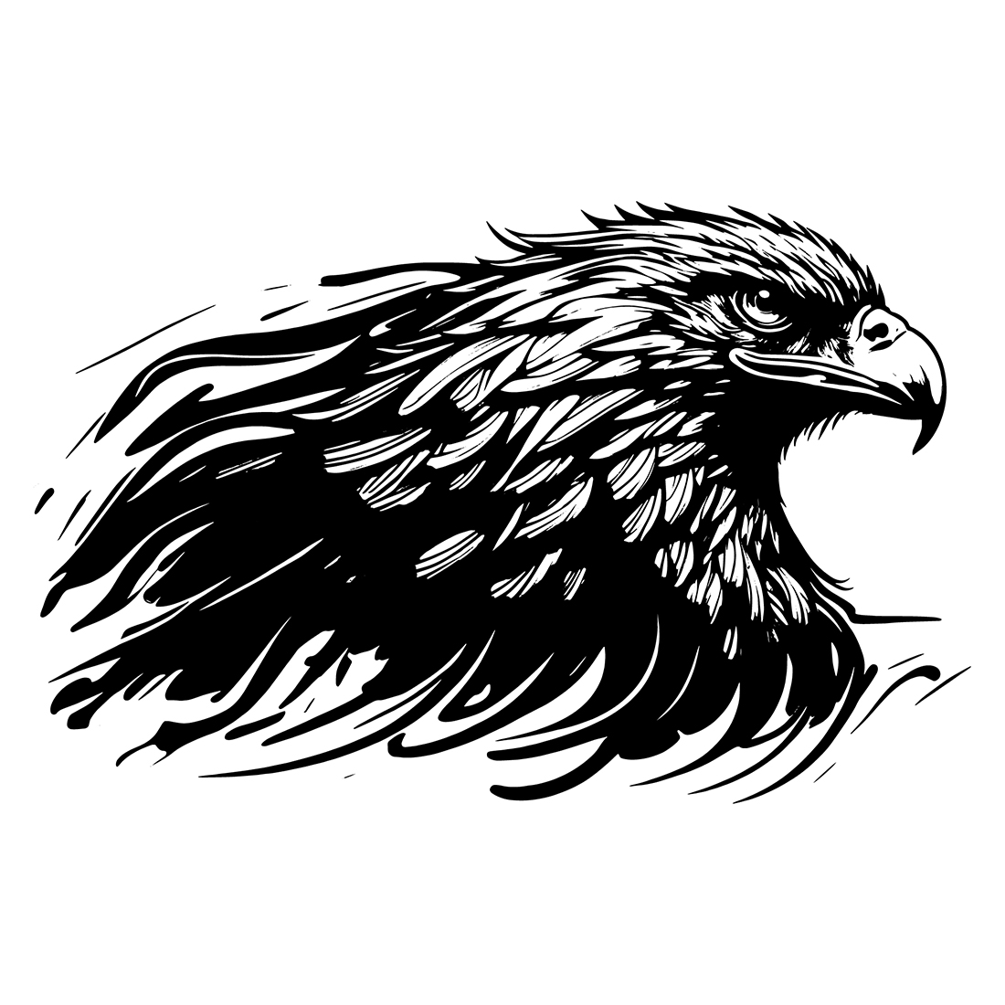 Eagle Logo Illustration cover image.