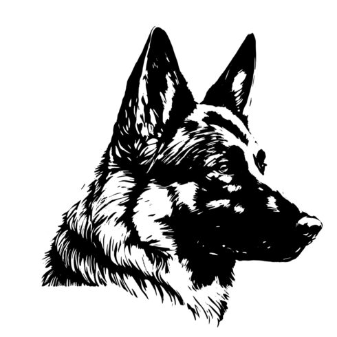 German shepherd Dog Logo Illustration cover image.