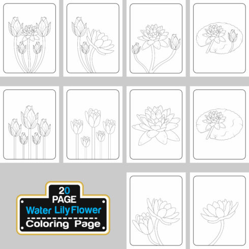 Water Lily Flower Coloring Page Hand Drawing Line Art Vector illustration cover image.