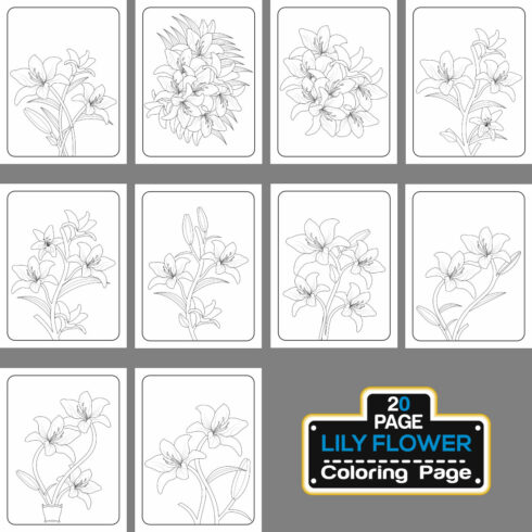 Lily Flower Coloring Page And Book Hand Drawn Line Art illustration cover image.