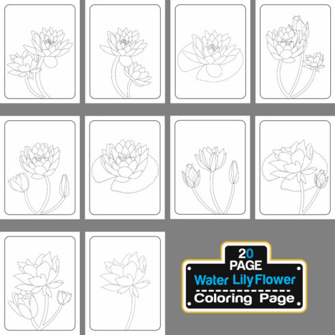 Lotus Flower Coloring Page Hand Drawing Line Art Vector illustration cover image.