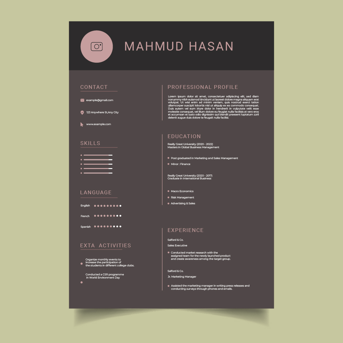 Dark Resume And CV Template preview image.