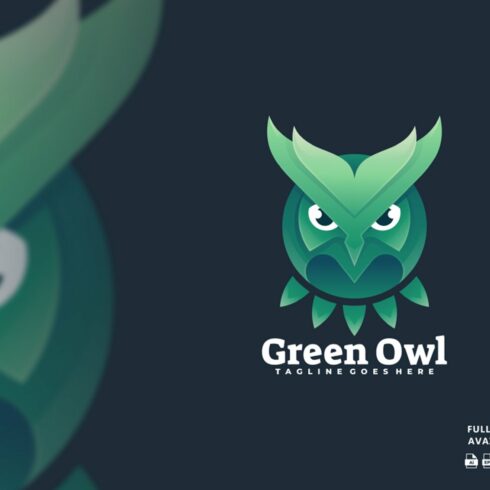 Green Owl Colorful Logo cover image.