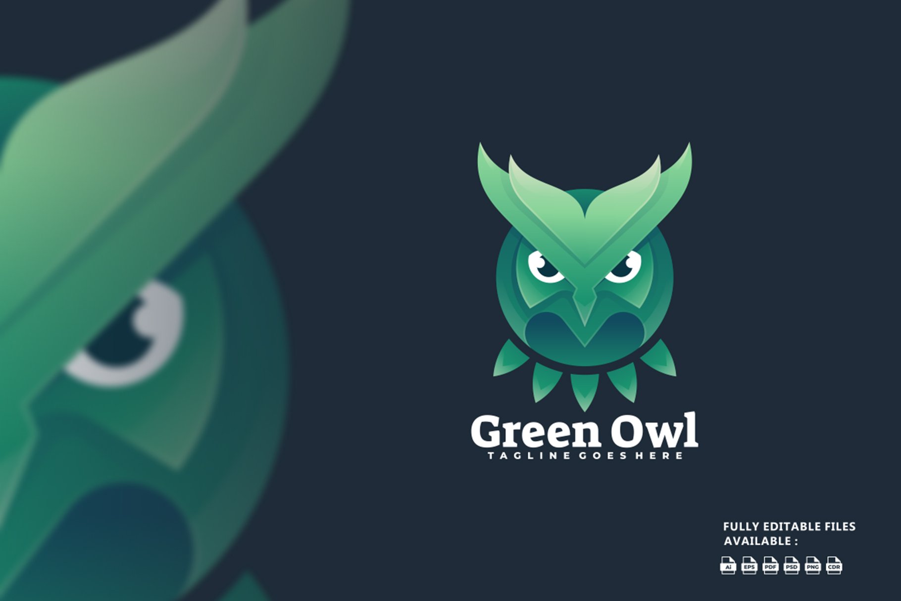Green Owl Colorful Logo cover image.