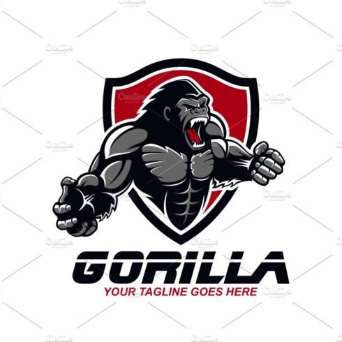 Gorilla cover image.