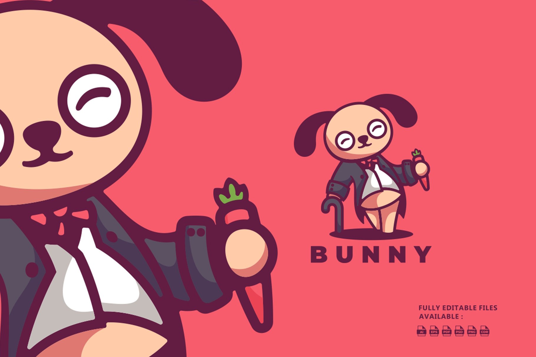 Bunny Mascot Cartoon Logo cover image.