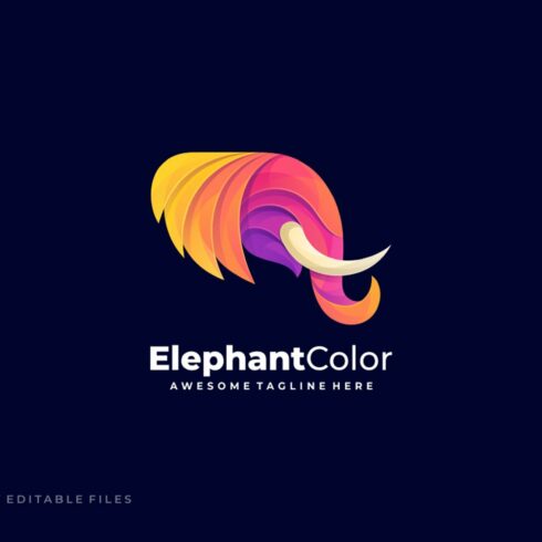 Elephant Colorful Logo cover image.