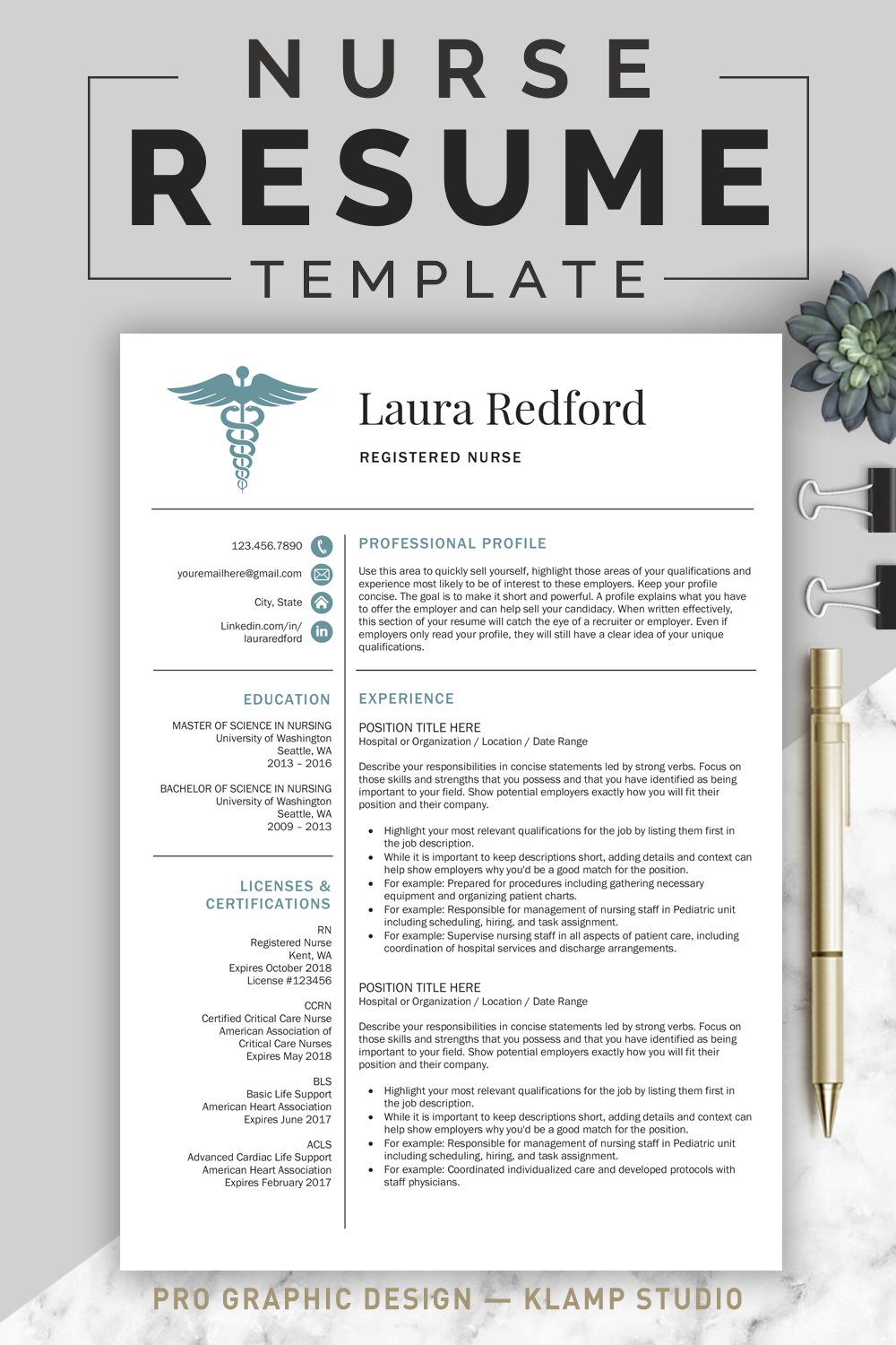 Professional nurse resume template for nurses.