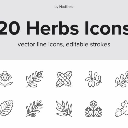 Herbs Line Icons cover image.