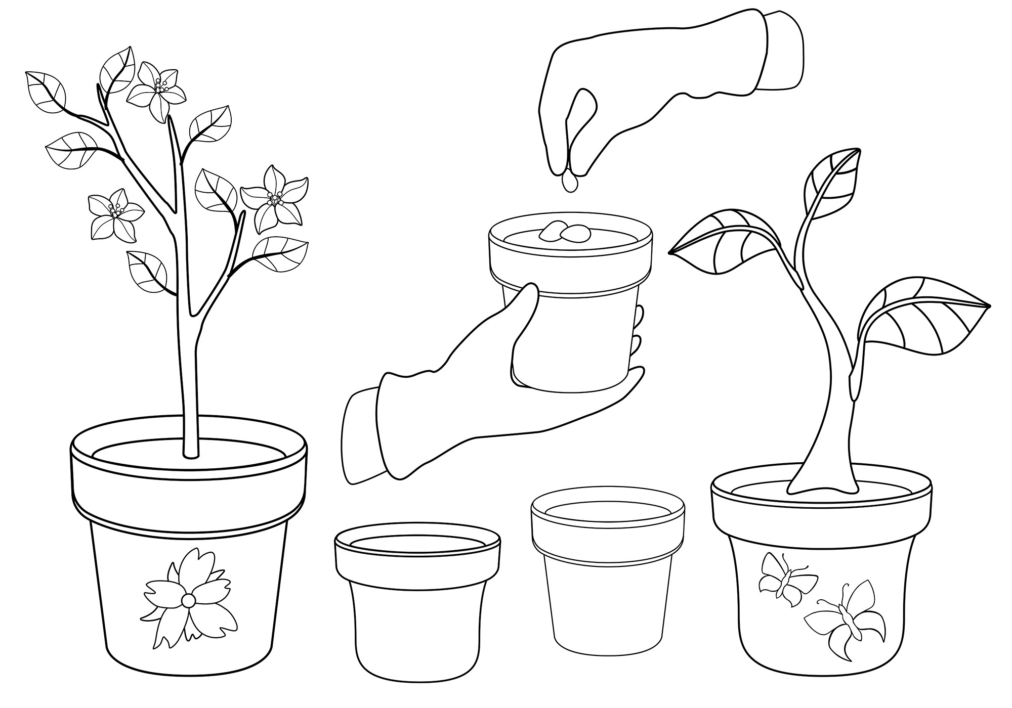Drawing of a hand holding a potted plant.