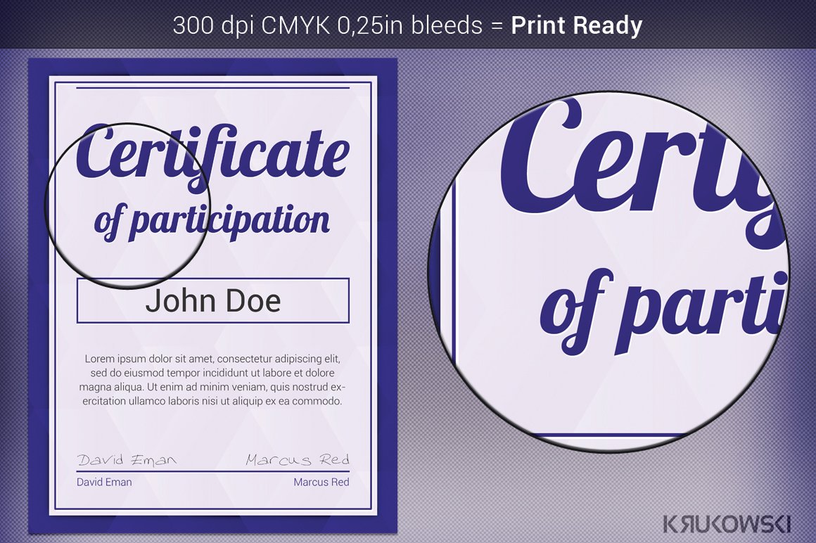 Certificate of Participation preview image.