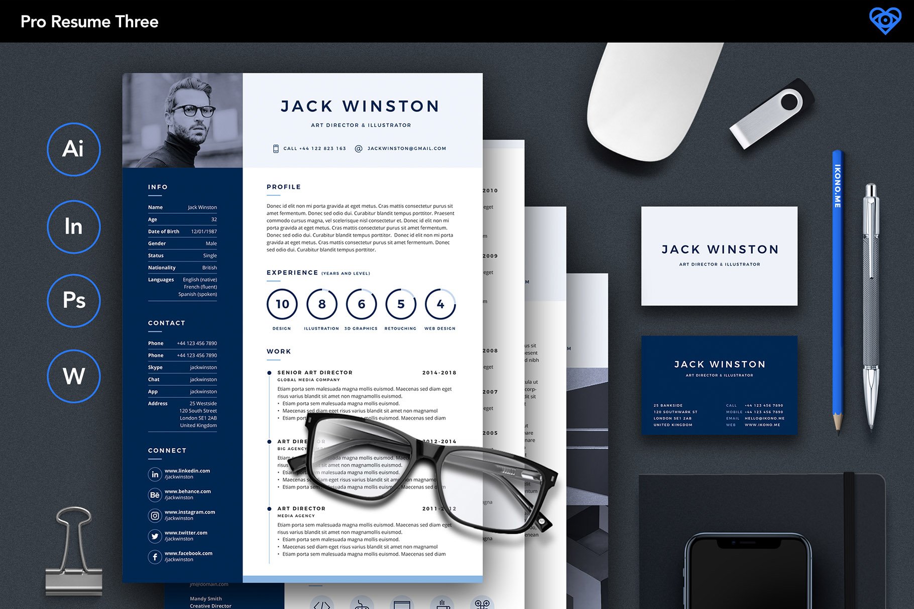 PRO Resume 3 preview image.