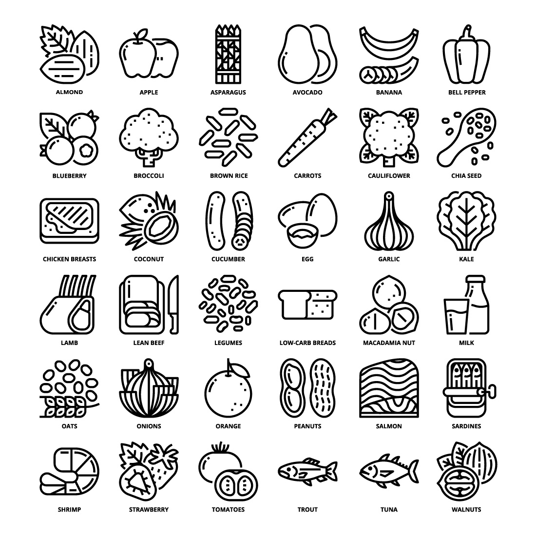 36 Healthy Food Icons Set x 4 Styles preview image.