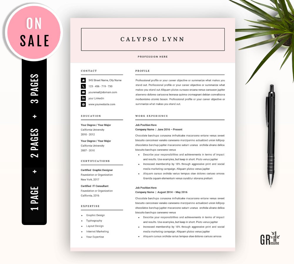 Professional resume template with a pink background.