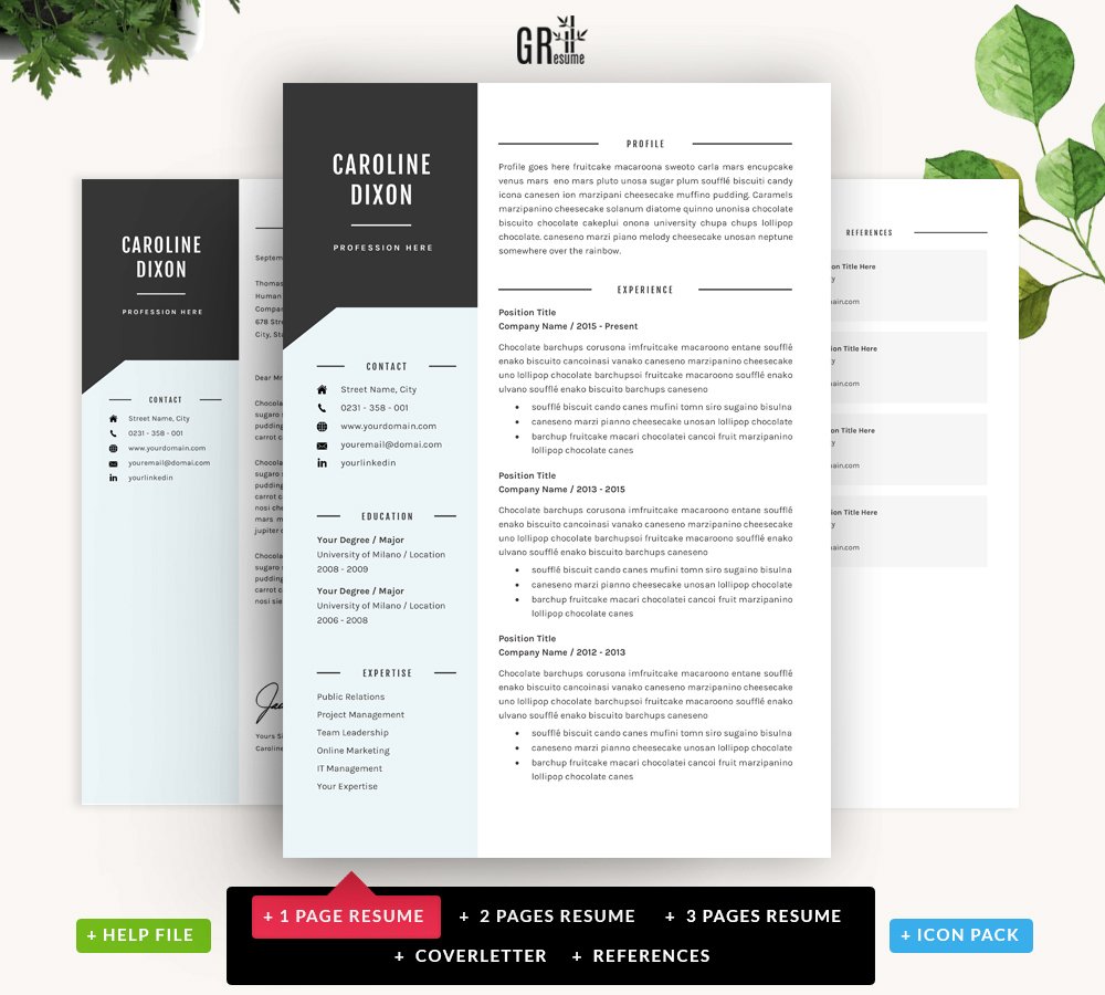 Resume Template for Microsoft Word preview image.