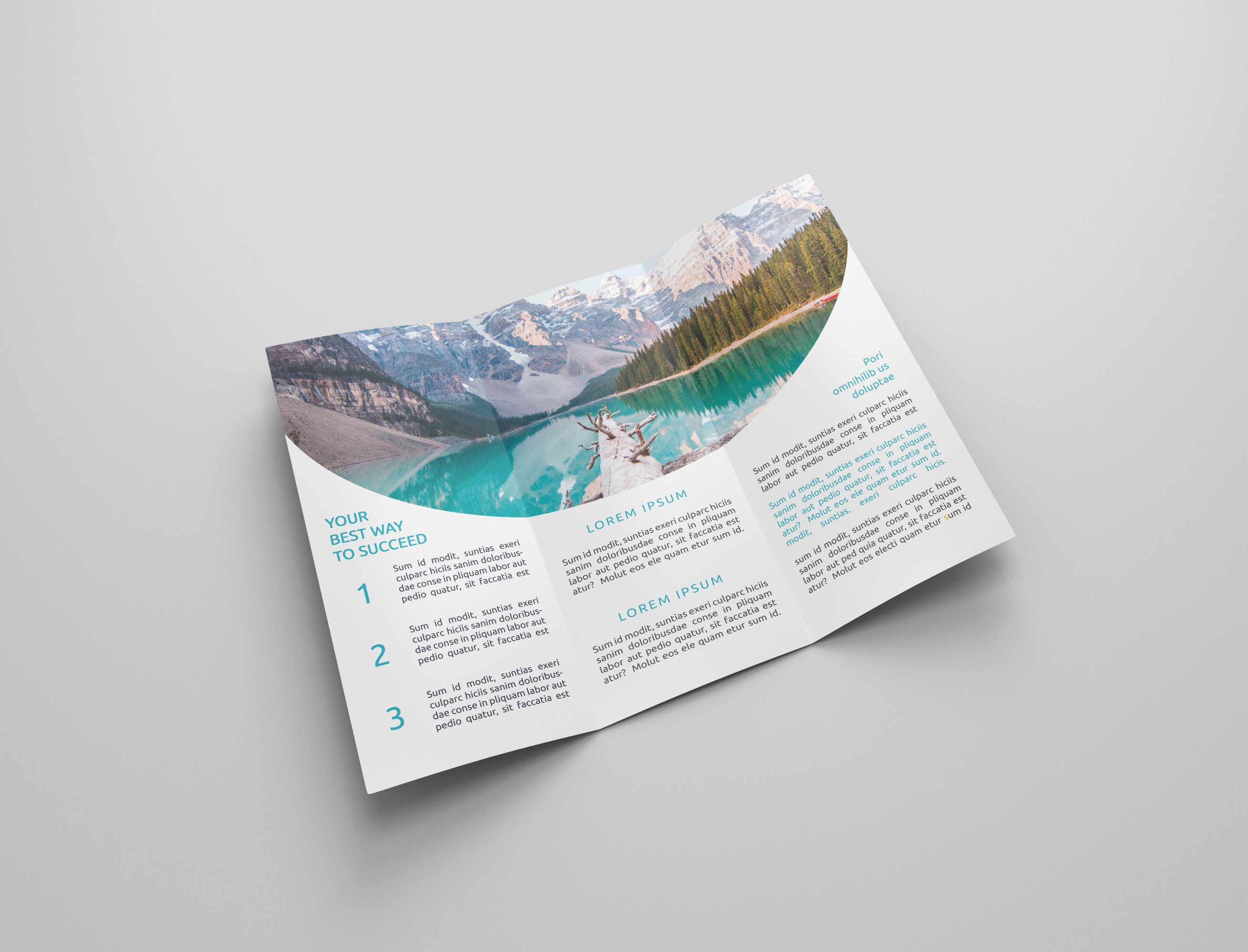 Travel Tri-fold Brochures preview image.