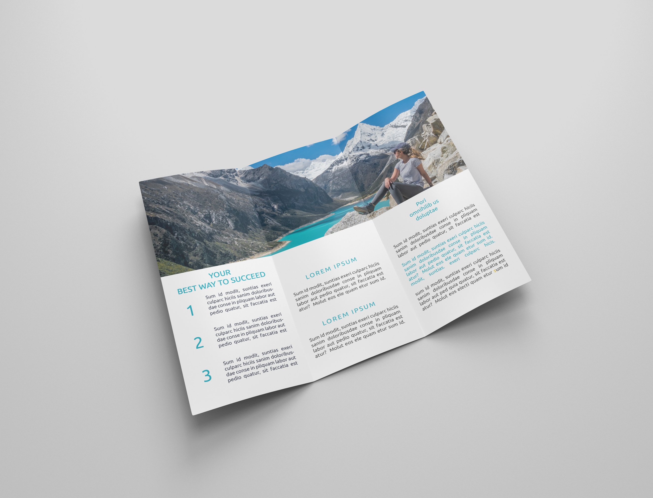 Travel Tri-fold Brochures preview image.