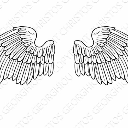 Wings Angel or Eagle Pair cover image.