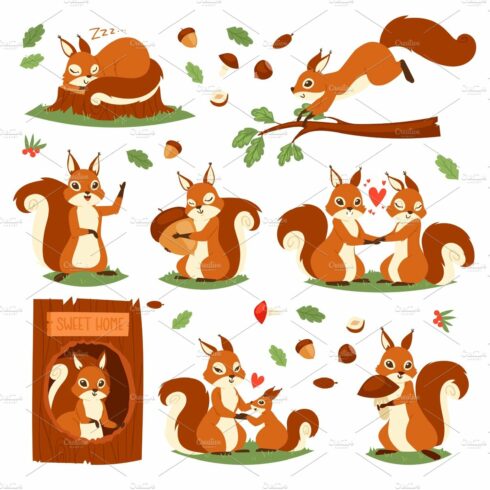 Squirrel vector cute animal jumping or sleeping in wildlife and lovely anim... cover image.