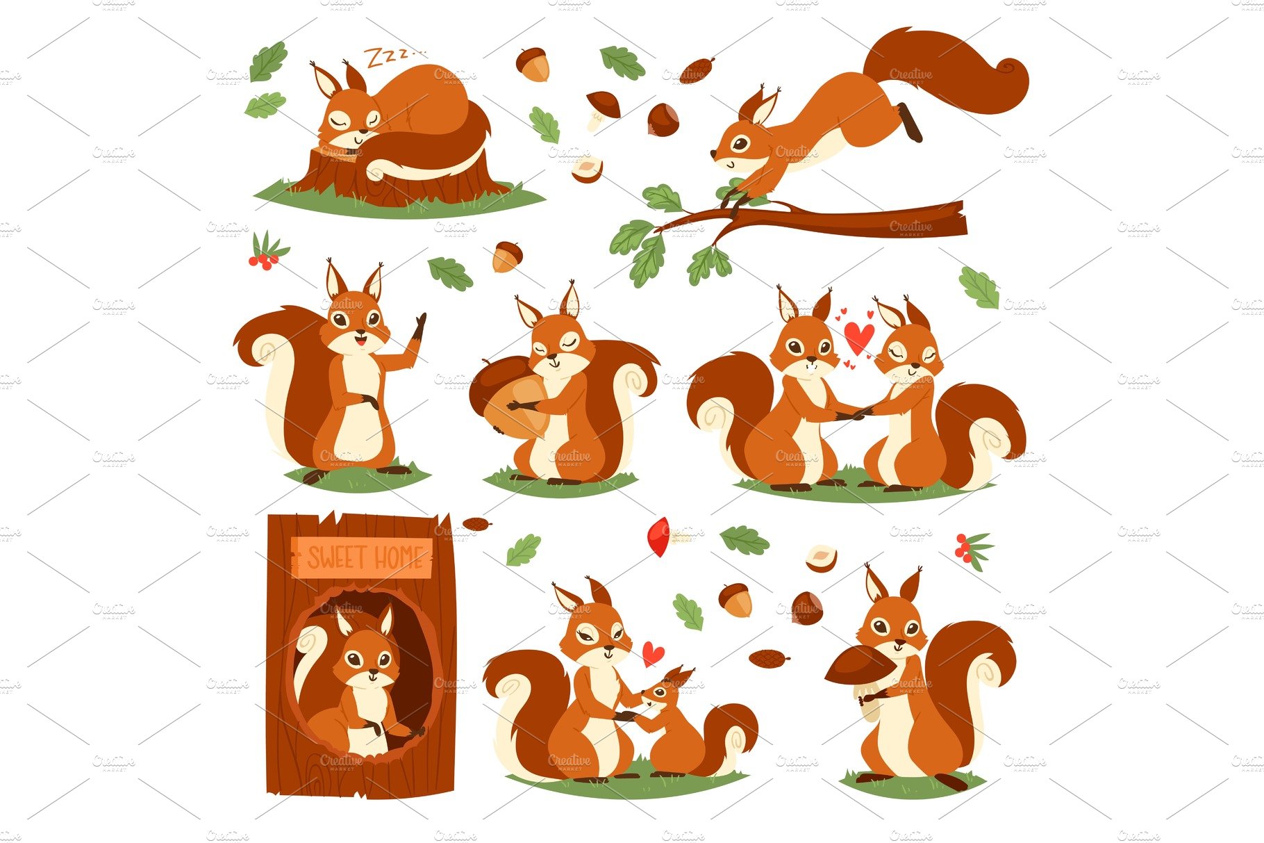 Squirrel vector cute animal jumping or sleeping in wildlife and lovely anim... cover image.