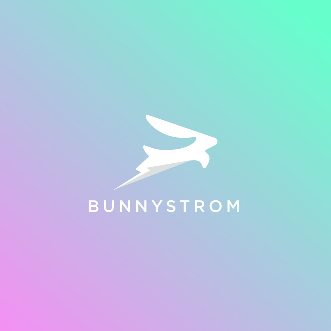 bunnystrom logo typography preview image.