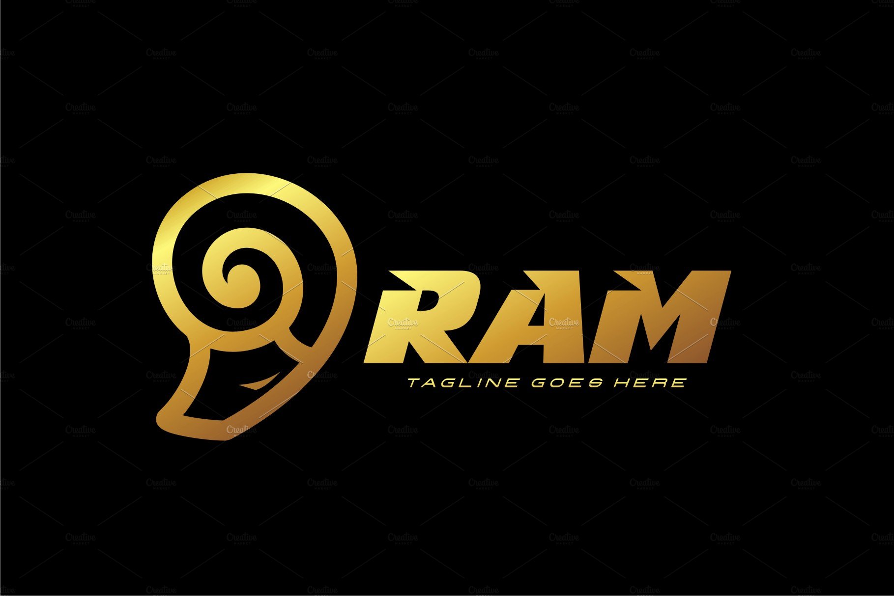 RAM preview image.