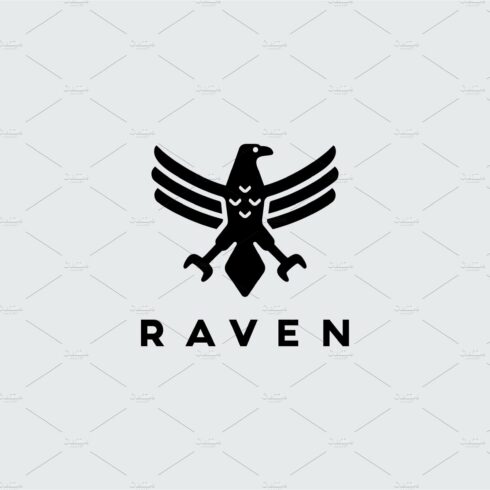 Raven Logo cover image.