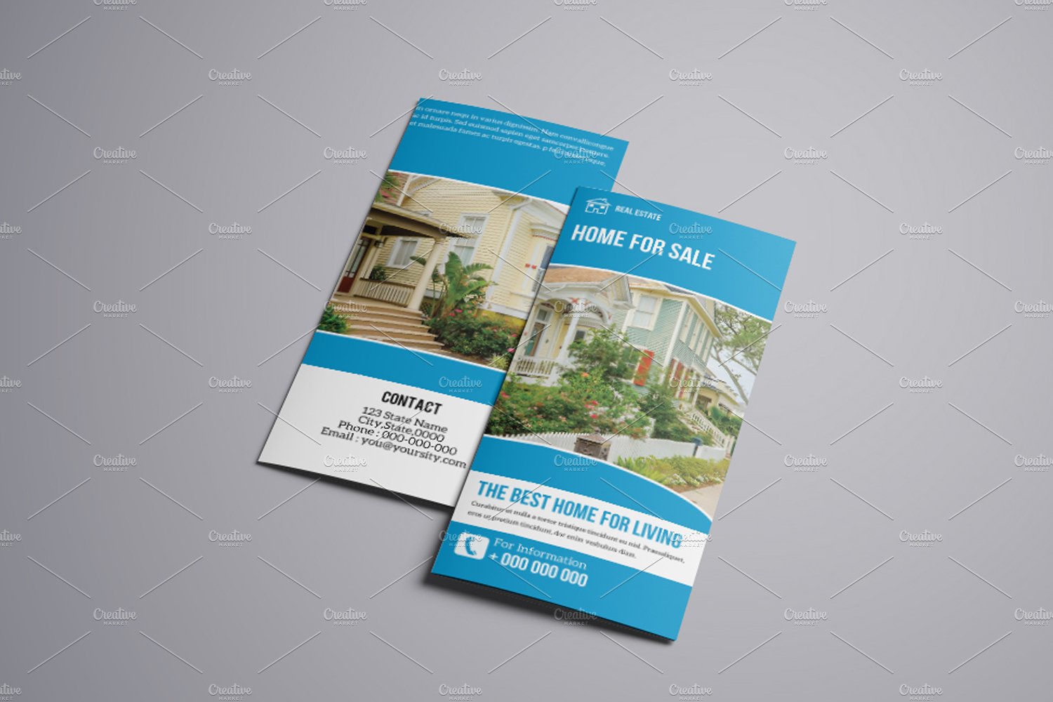 Trifold Real Estate Brochure V767 cover image.