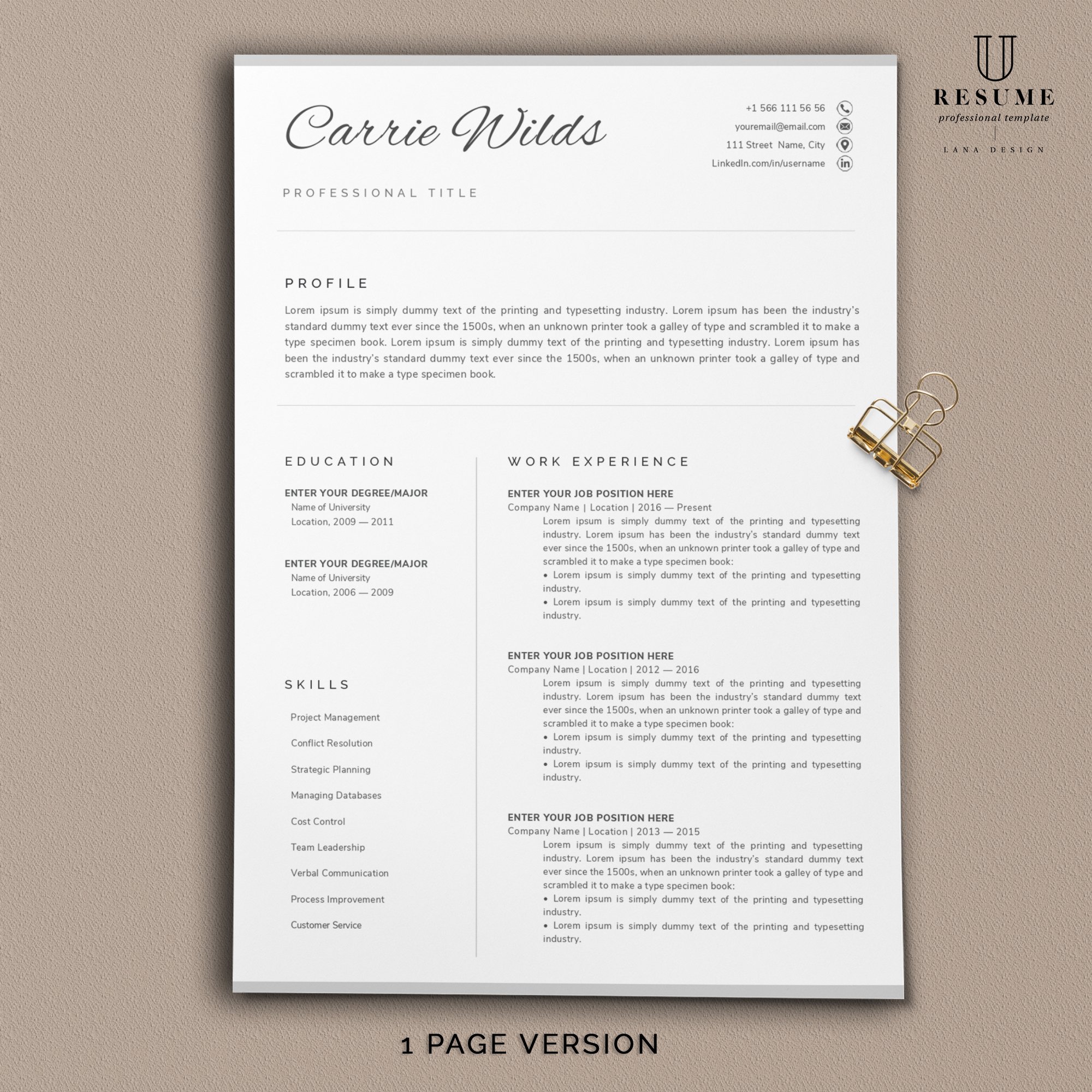 Resume template / CV preview image.