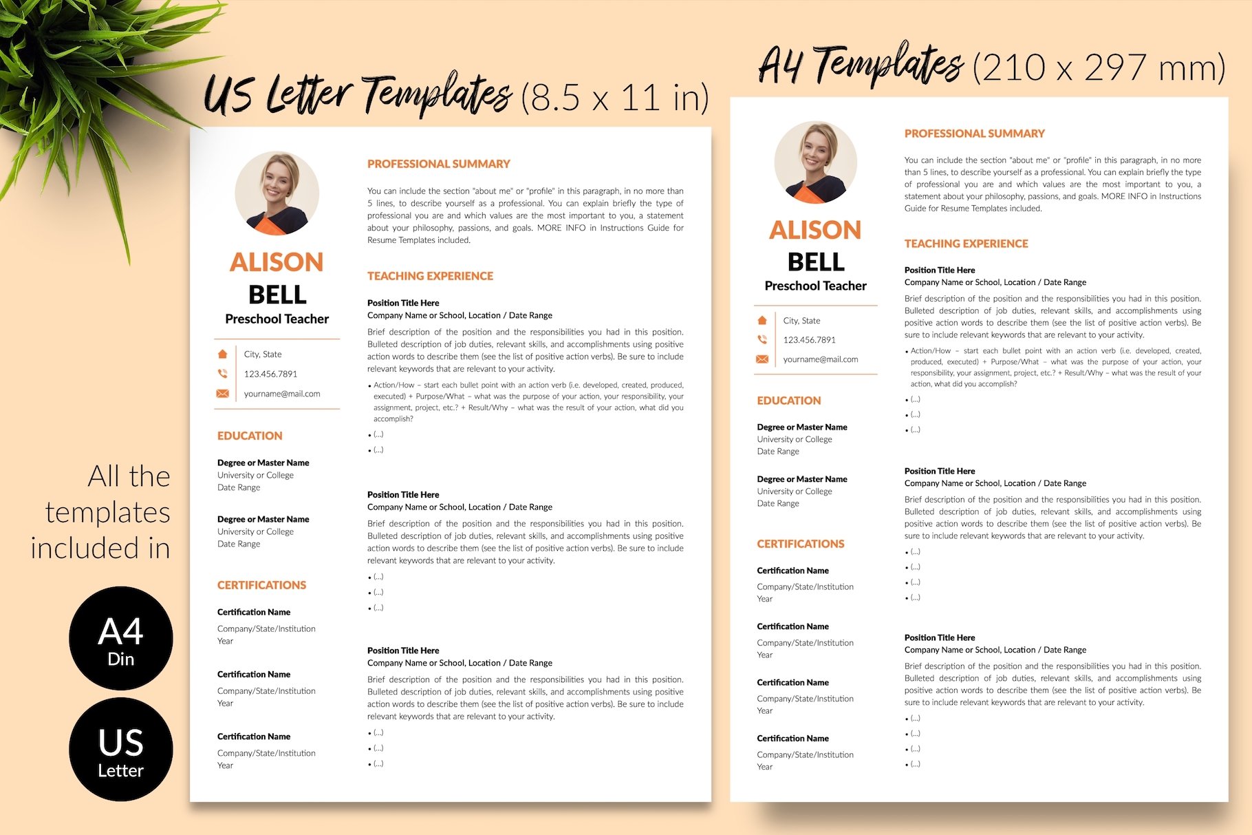 resume cv template alison bell for creative market 08 size din a4 us letter 740