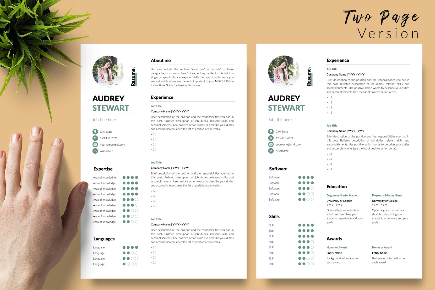resume cv template audrey stewart for creative market 03 two page version 155