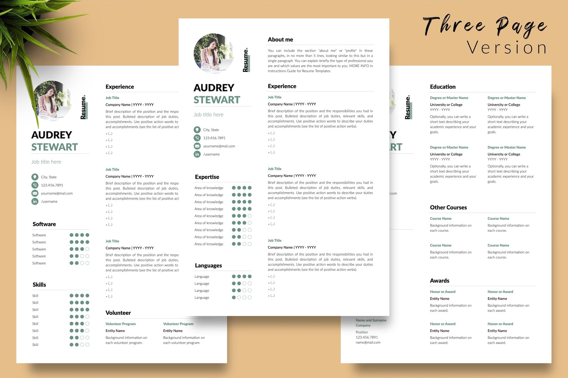 resume cv template audrey stewart for creative market 04 three page version 558