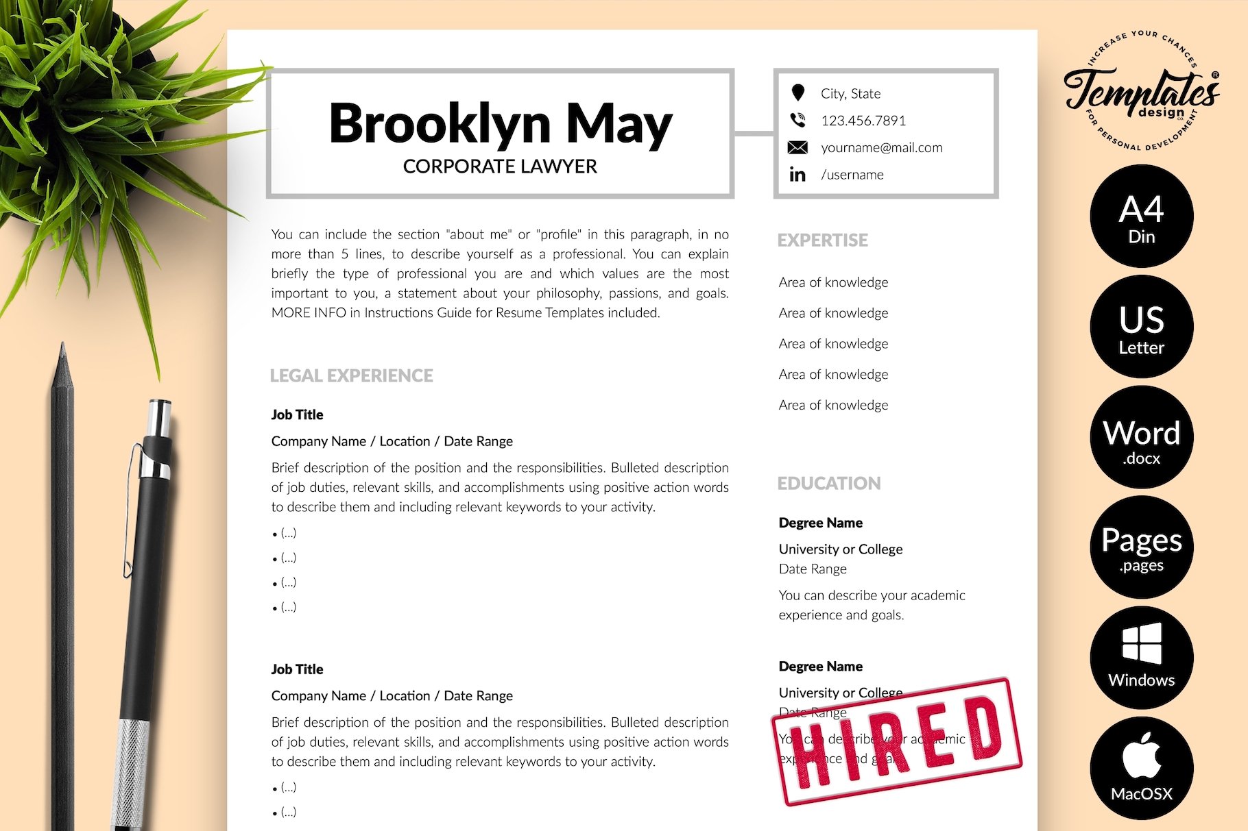 Attorney Resume CV Bundle - Brooklyn cover image.
