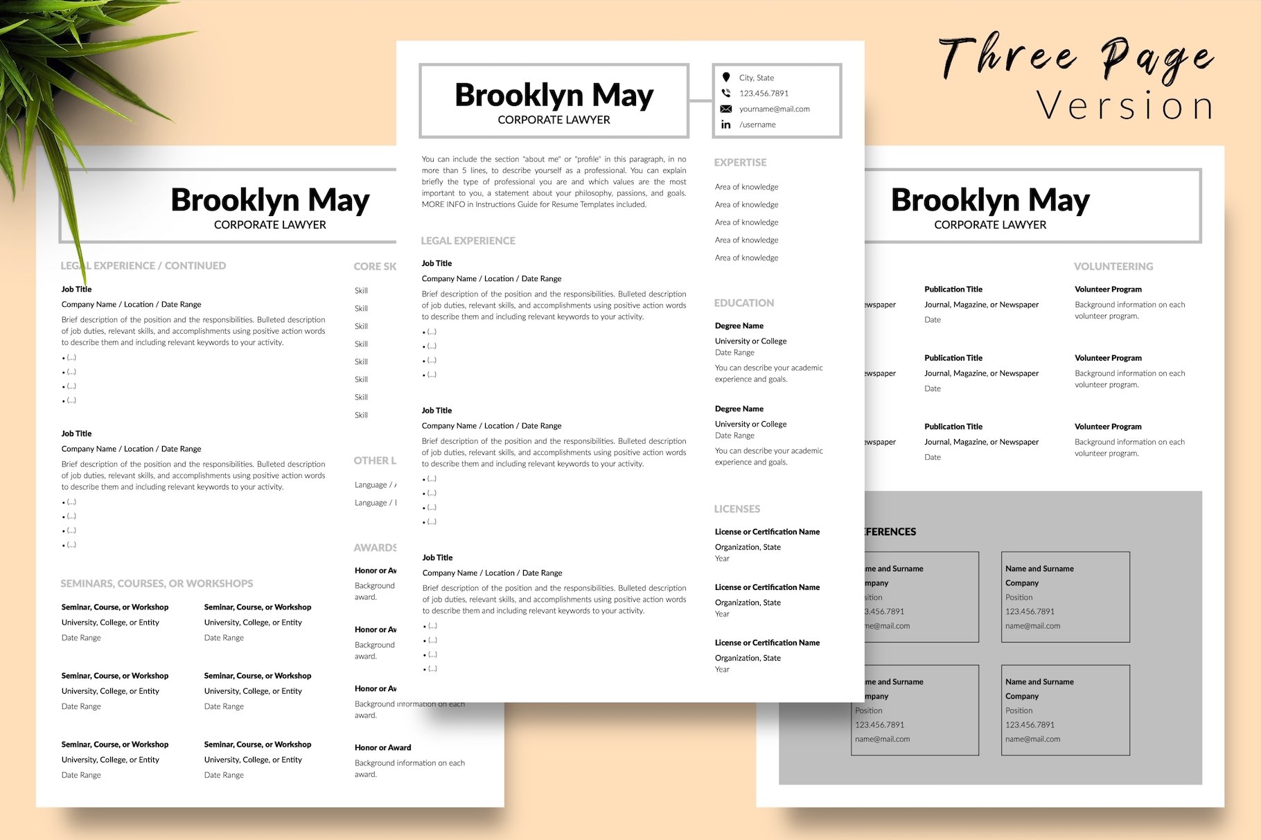 resume cv template brooklyn may for creative market 04 three page version 87